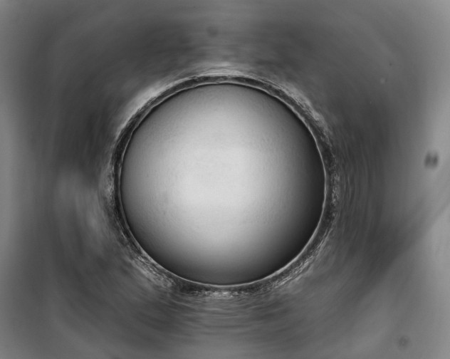 X0000100331167200806121121