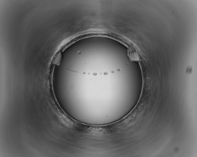 X0000100331168200806121121