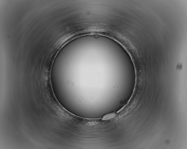 X0000100331169200806121121