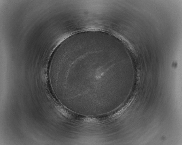 X0000100331170200806121121