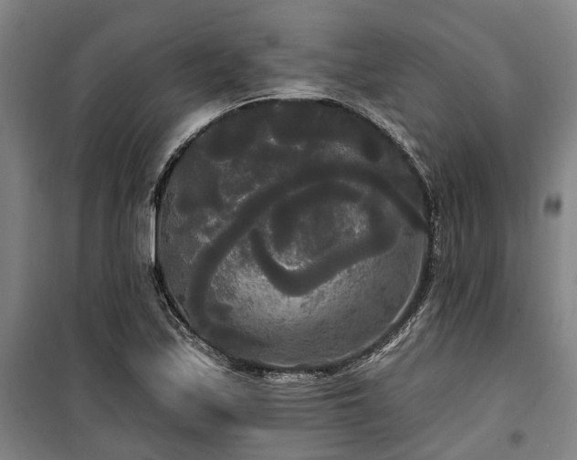 X0000100331171200806121121