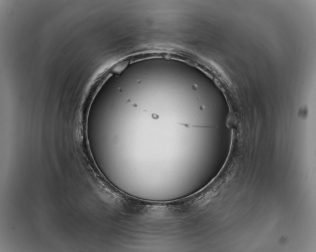 X0000100331172200806121121