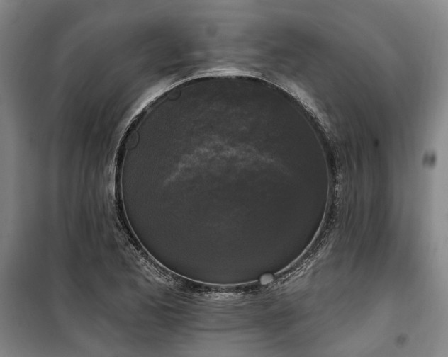 X0000100331173200806121121