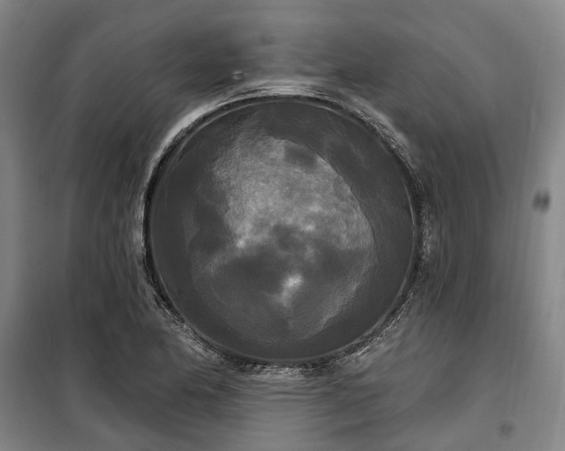 X0000100331174200806121121