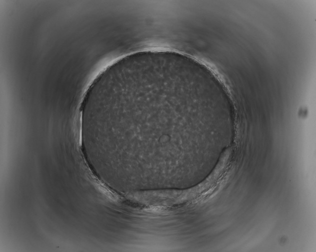 X0000100331175200806121121