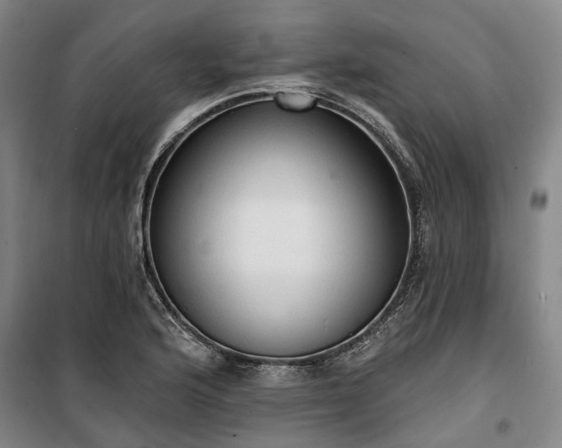 X0000100331176200806121121