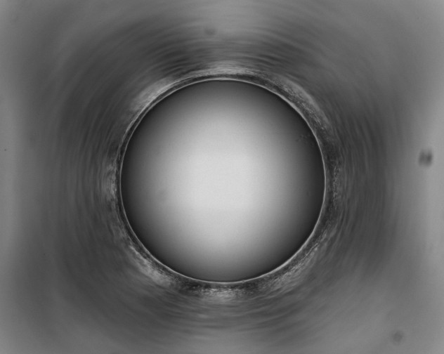 X0000100331177200806121121