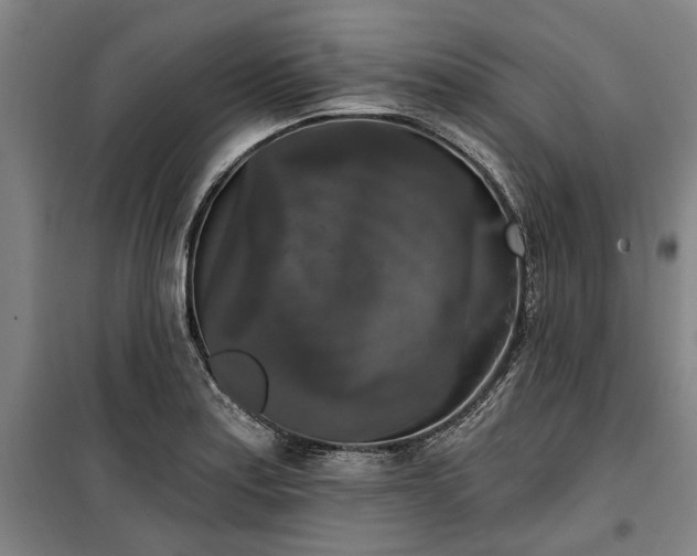 X0000100331179200806121121