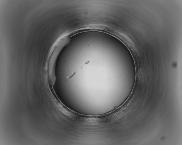 X0000100331180200806121120