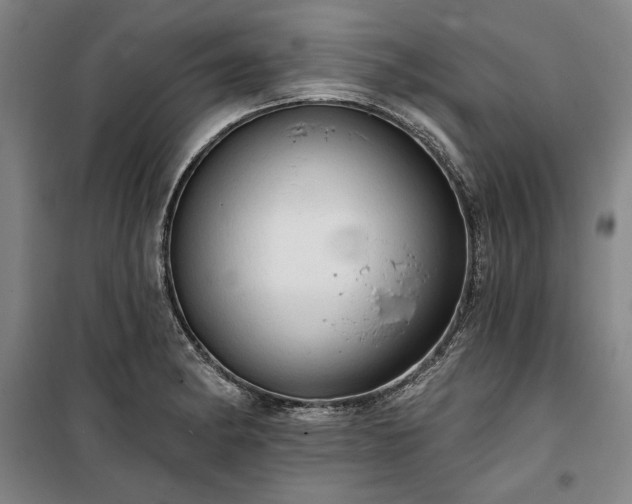 X0000100331182200806121120