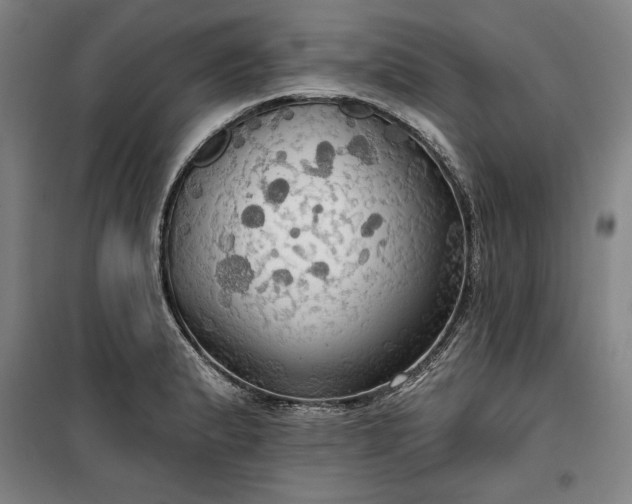 X0000100331183200806121120