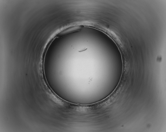 X0000100331184200806121120