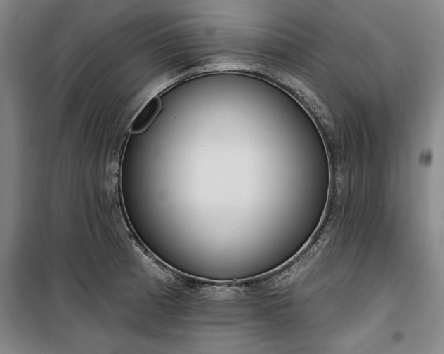 X0000100331185200806121120