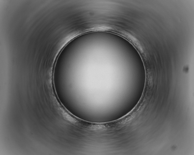 X0000100331186200806121120