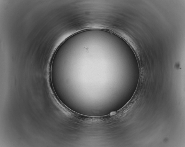 X0000100331187200806121120