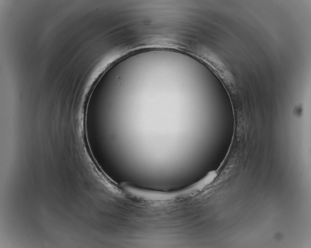 X0000100331188200806121120