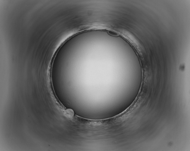 X0000100331190200806121120