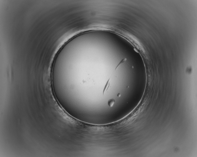 X0000100331192200806121120