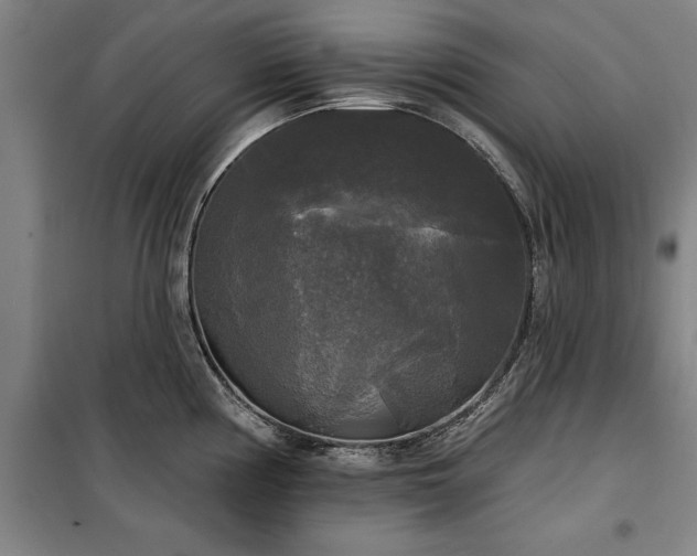 X0000100331194200806121120