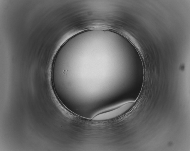 X0000100331195200806121120