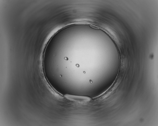 X0000100331196200806121120