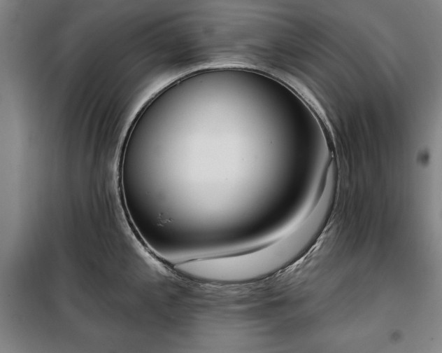 X0000100331197200806121120