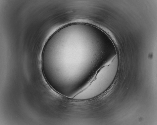 X0000100331199200806121120