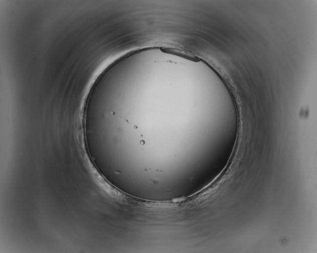 X0000100331200200806121120