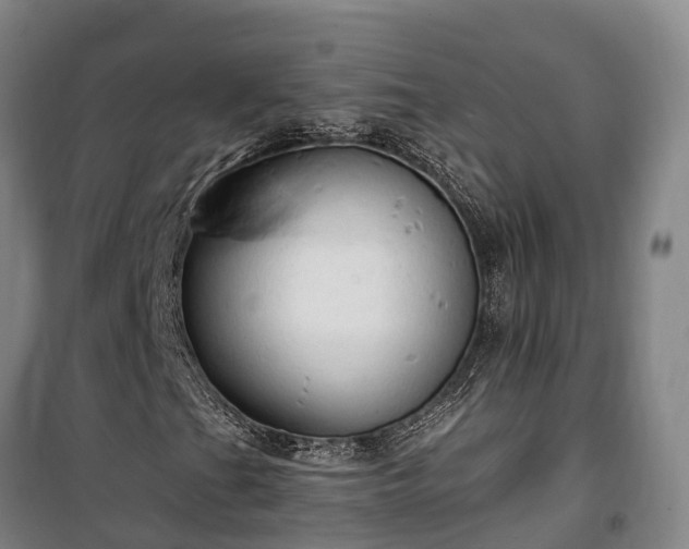 X0000100331201200806121120