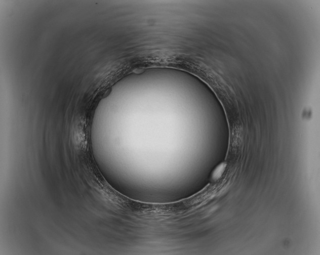 X0000100331202200806121120