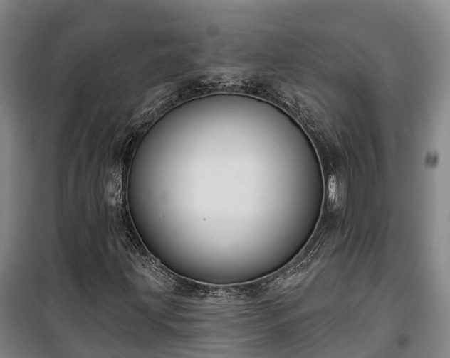 X0000100331203200806121120