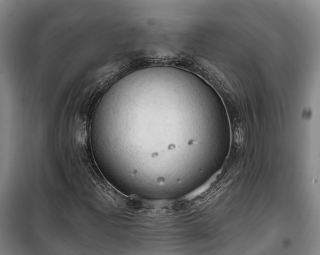 X0000100331204200806121120