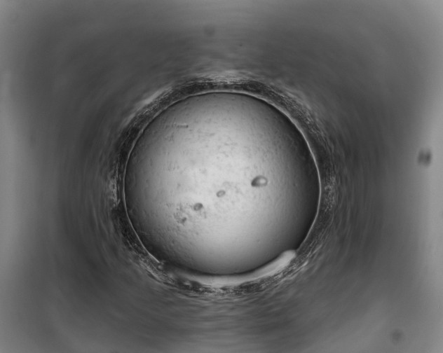 X0000100331205200806121120