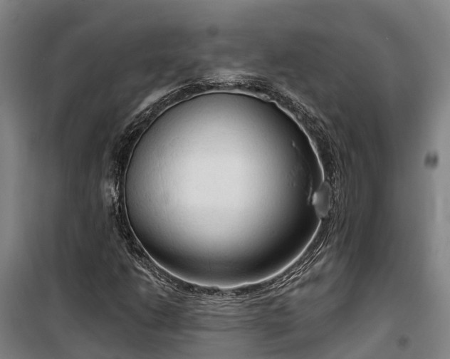 X0000100331206200806121120