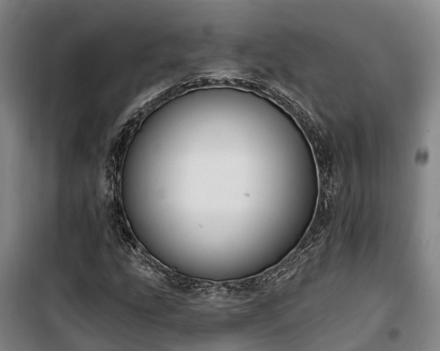 X0000100331207200806121120