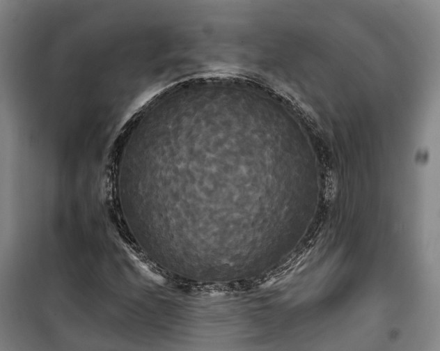 X0000100331208200806121120