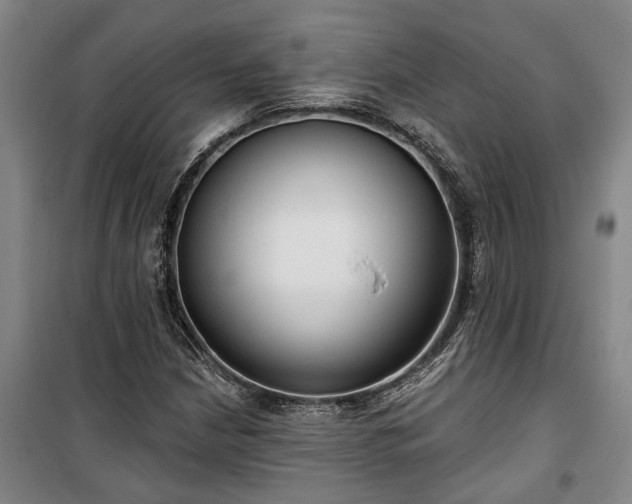 X0000100331210200806121120