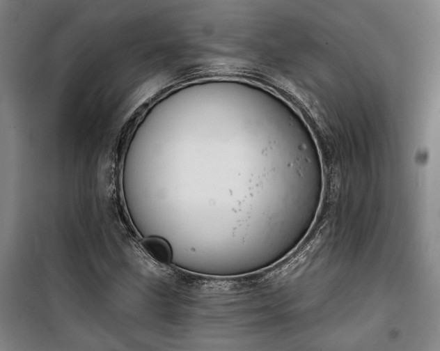 X0000100331211200806121120