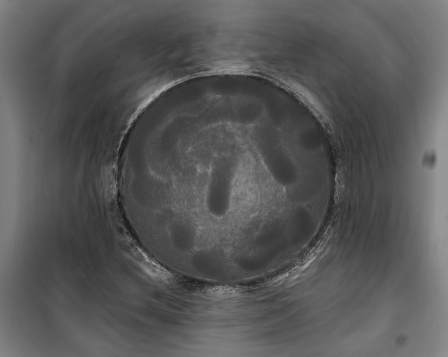 X0000100331212200806121120