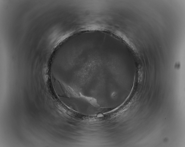 X0000100331213200806121120