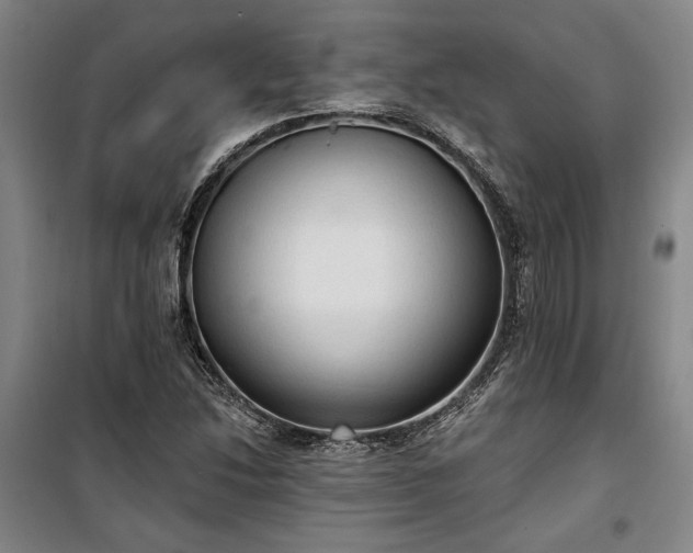 X0000100331214200806121120