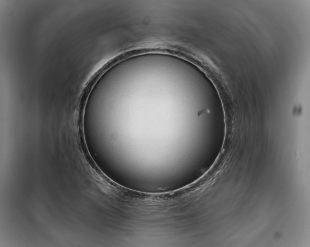 X0000100331216200806121120