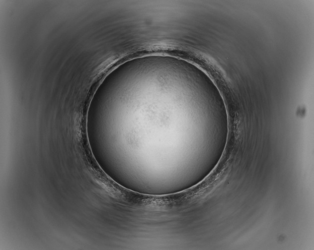 X0000100331217200806121120