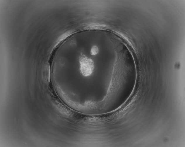 X0000100331219200806121120