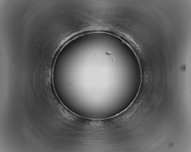 X0000100331220200806121120