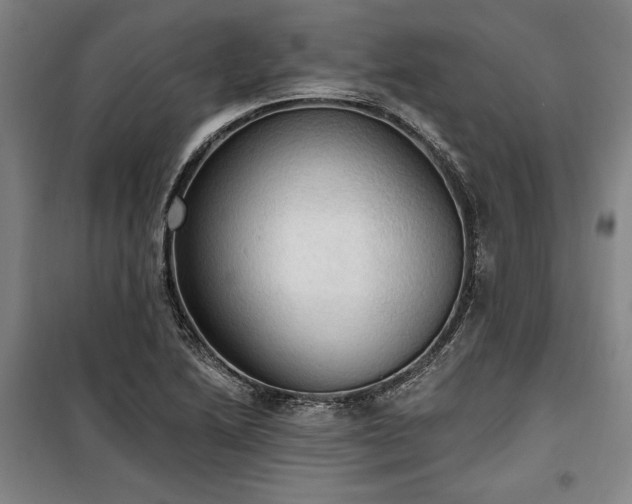 X0000100331222200806121120