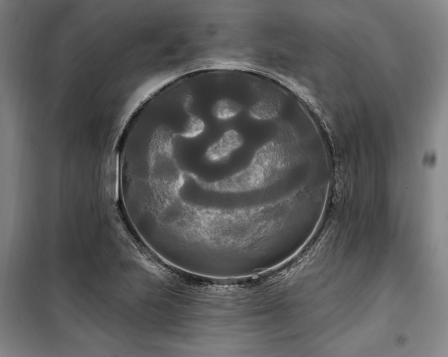 X0000100331223200806121120