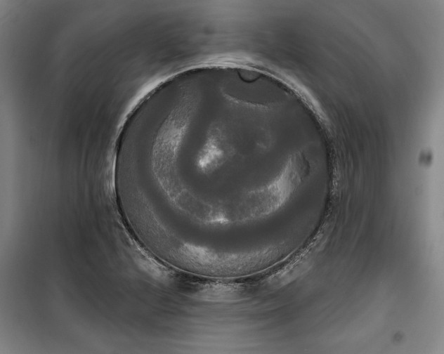 X0000100331224200806121120