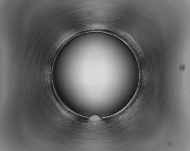 X0000100331225200806121120