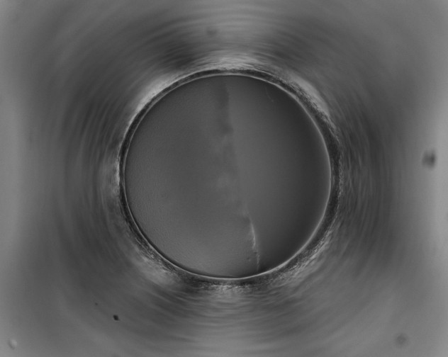 X0000100331226200806121120